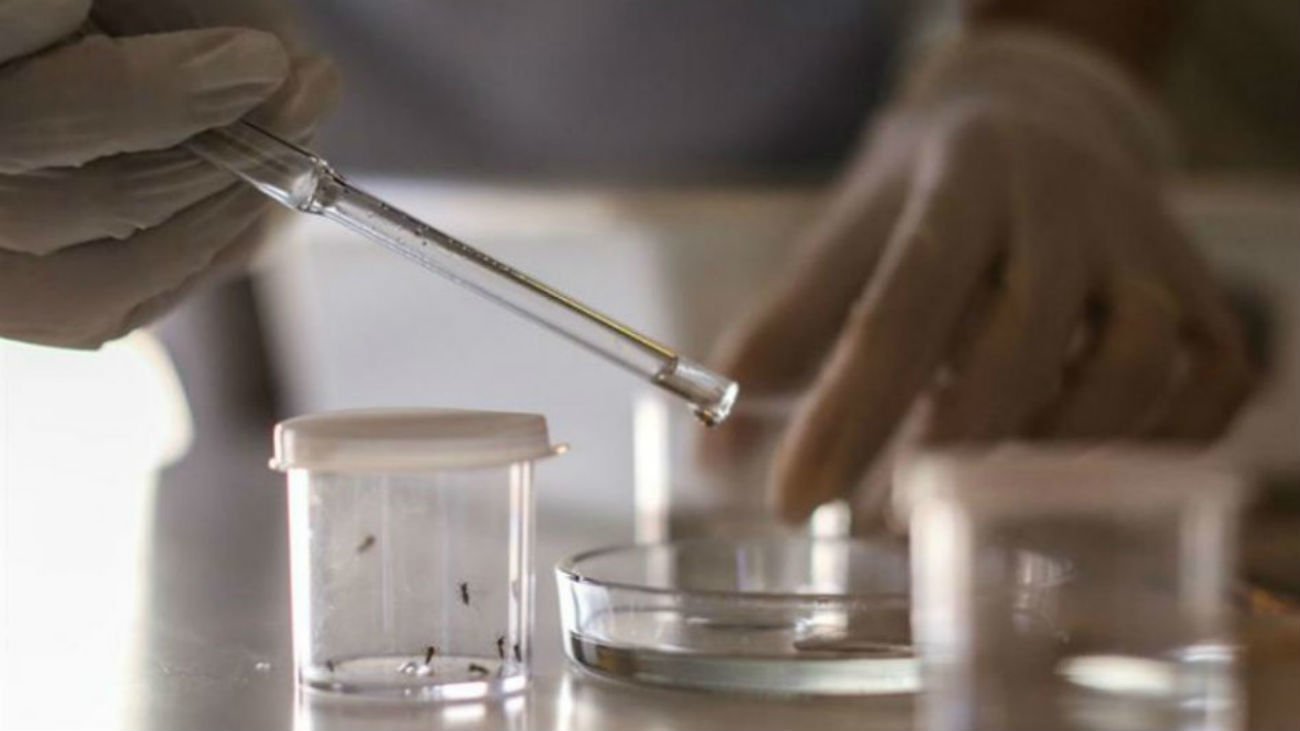 EE.UU. inicia un ensayo clínico con humanos para vacuna contra el Zika