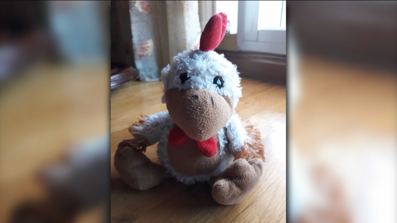 Buscan a Kiki, un peluche perdido