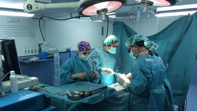 Código Médico: Capítulo 6