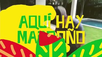 Aquí hay madroño 30.08.2018