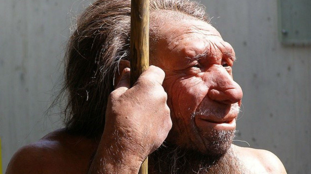 El frío contribuyó a la extinción de los neandertales