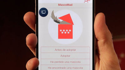 La Comunidad anima a usar la App Mascomad para buscar y adoptar mascotas