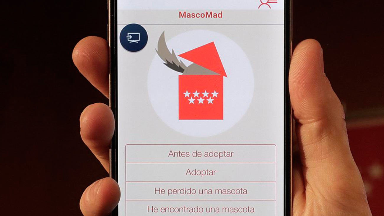 App Mascomad