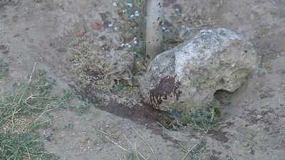 Muere un atracador tras autolesionarse y recibir un disparo en Torres de la Alameda