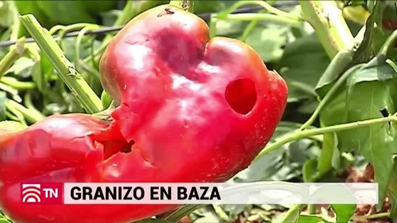 El Tiempo 2 04.09.2018