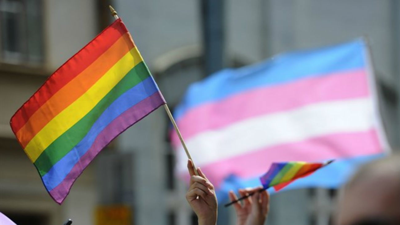 Arcópoli exige al Gobierno madrileño una  asignatura para "erradicar" la LGTBfobia