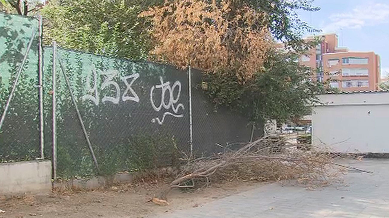 Muere un hombre de 74 años al caerse de un árbol en Móstoles