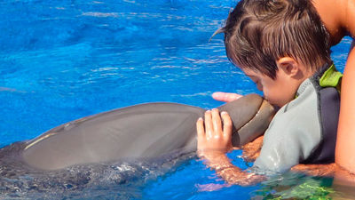 El autismo se tiene o se manifiesta, pero no se sufre o padece