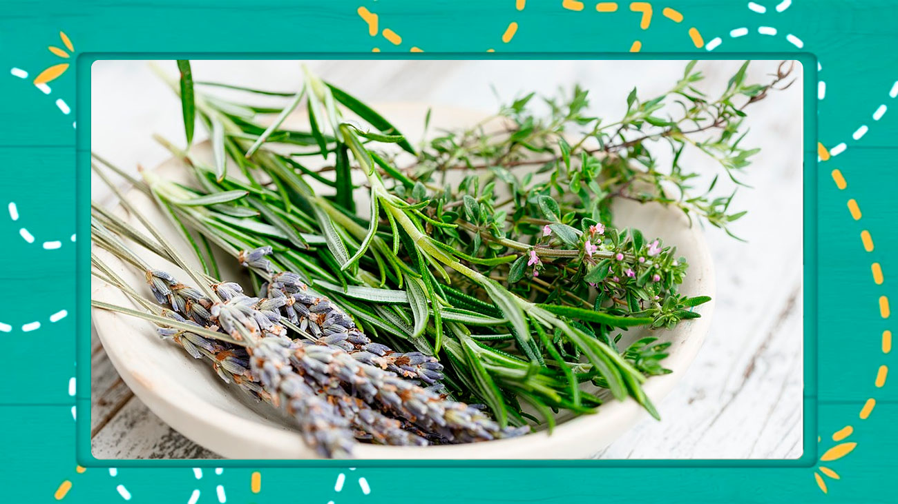 Cortar bien las hierbas aromáticas