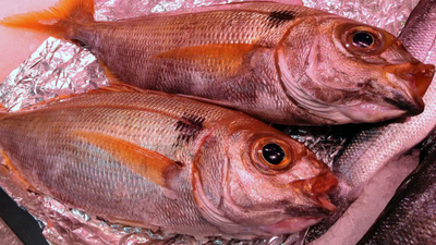 Madrid, el mejor puerto de España