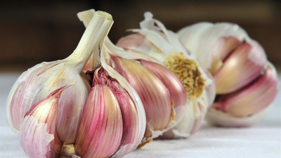El ajo, elemento esencial en nuestra cocina