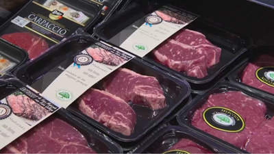 Los diferentes tipos de carnes para las albóndigas