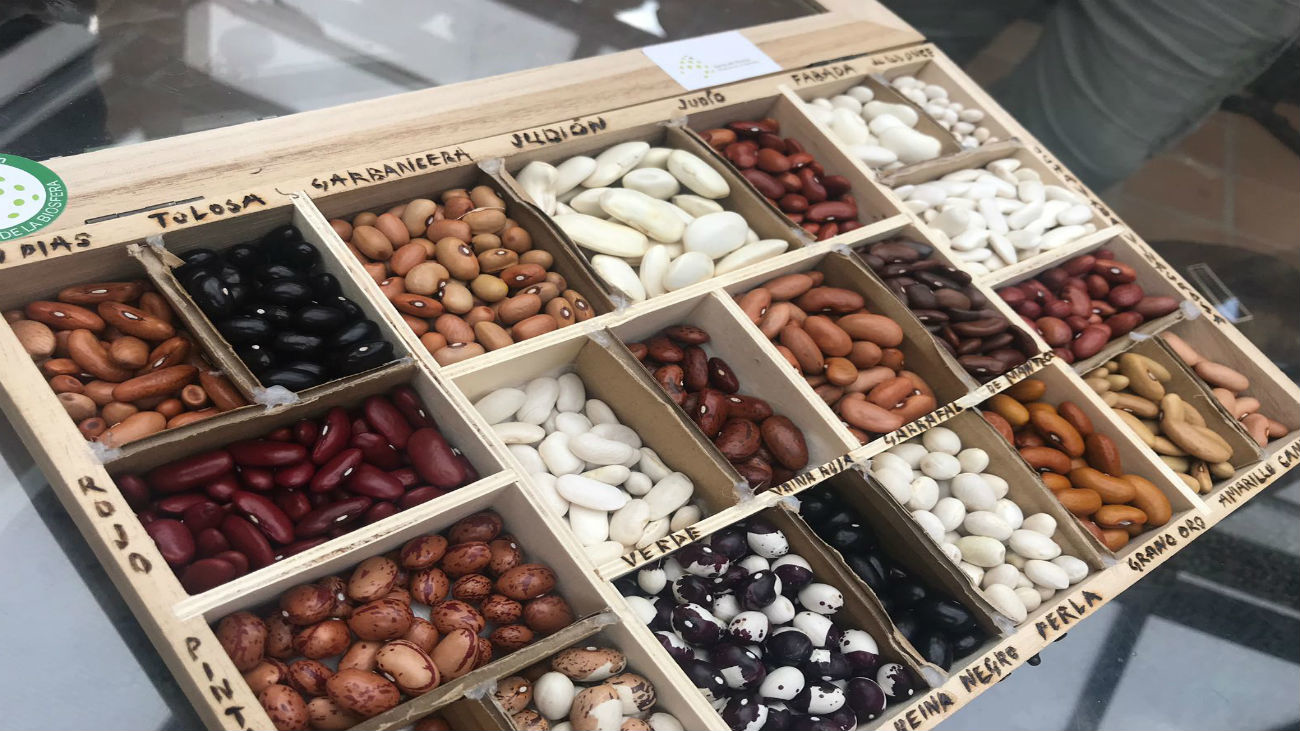 Judías vinagrosas, únicas 100% madrileñas