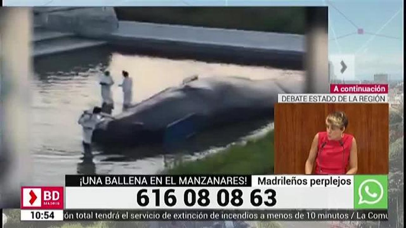 Buenos Días Madrid 14.09.2018 (10:30-11:30)