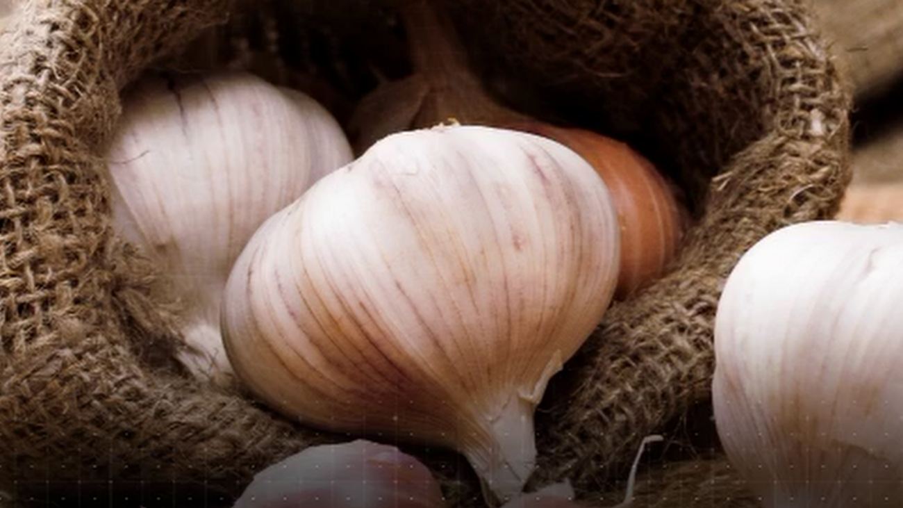 El ajo, rey de Colmenar