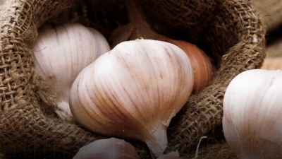 El ajo, rey de Colmenar