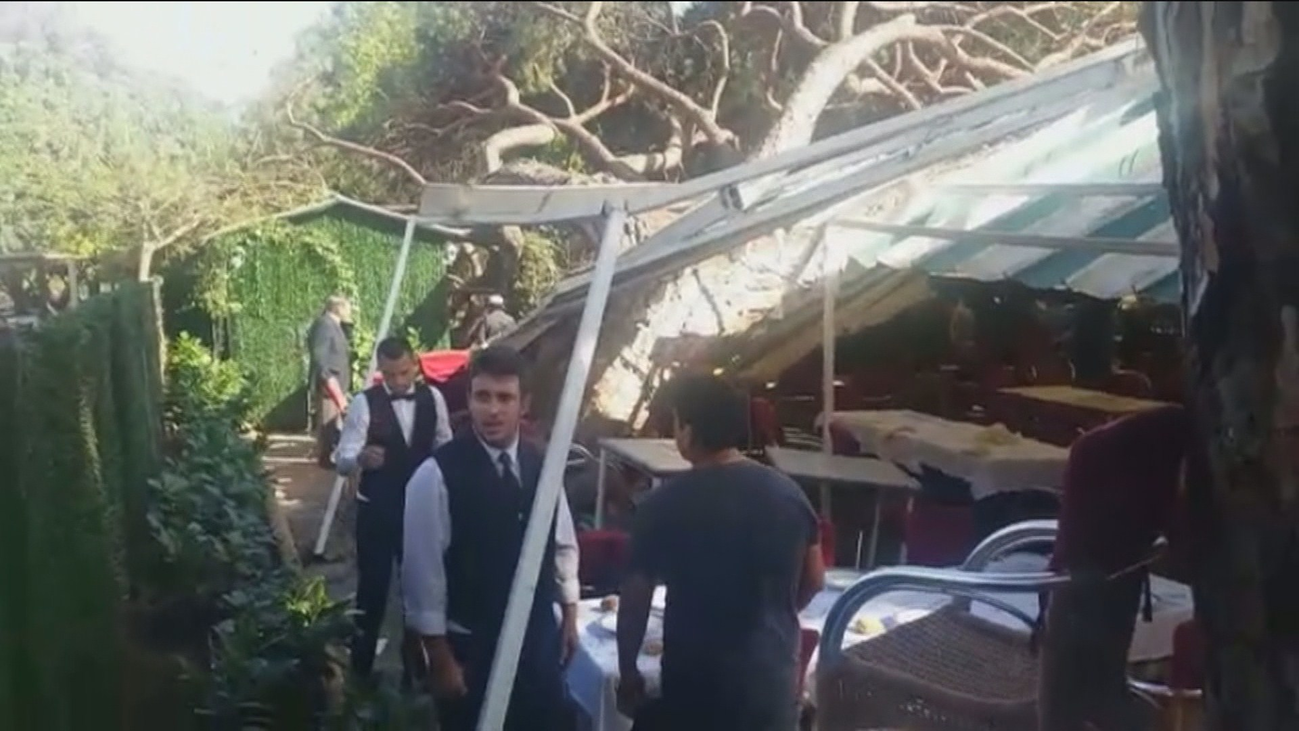 Un árbol de grandes dimensiones cae sobre la carpa de restaurante en El Pardo