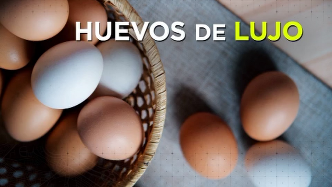 Poniendo huevos a ritmo de Mozart