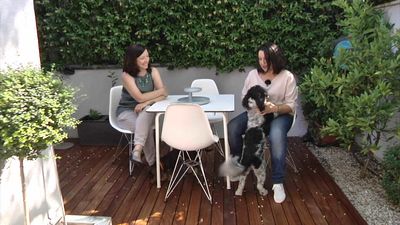 La colonia de los artistas