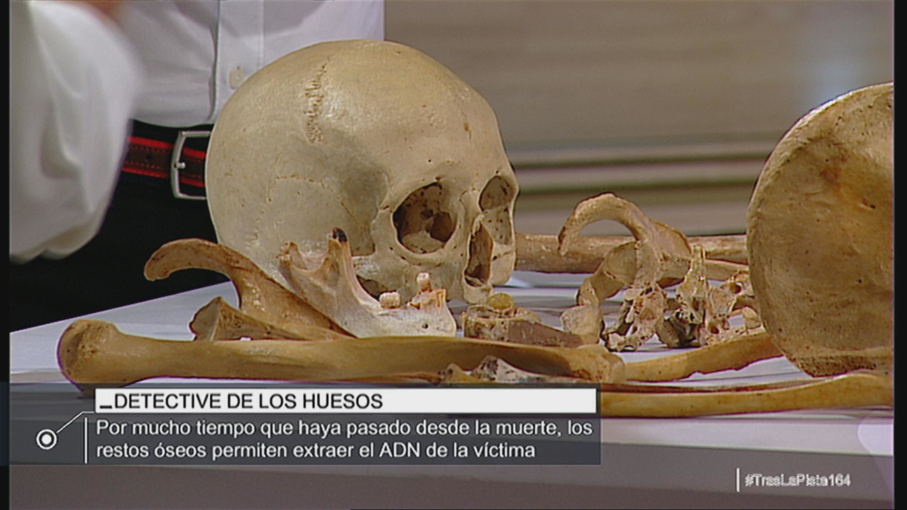 La información que arrojan los huesos a los médicos forenses