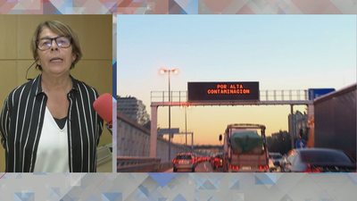 Inés Sabanés: "El efecto disuasorio de las restricciones no ha sido el esperado"