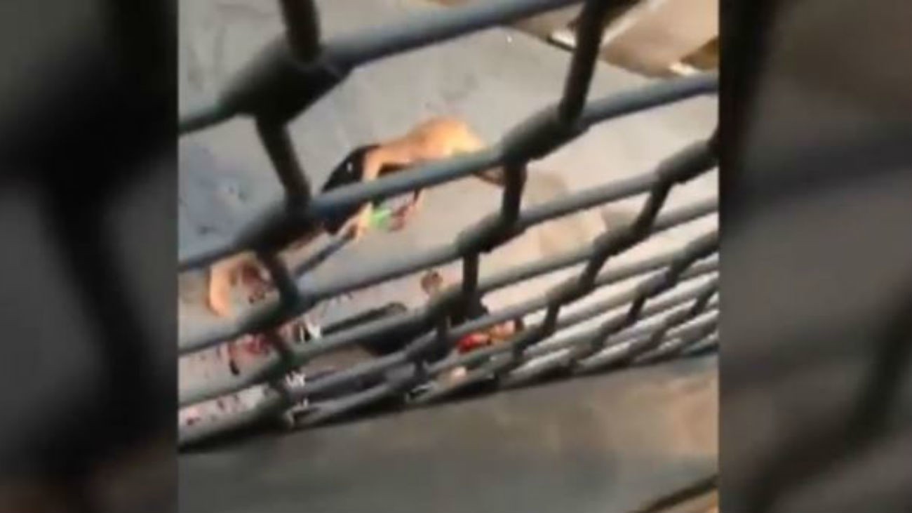 Indignación en El Raval por un nuevo ataque con machete en plena calle