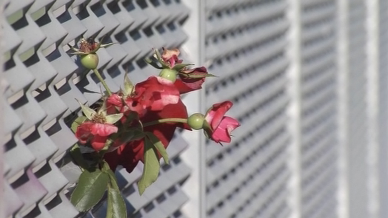 Madrid Directo 04.10.2018