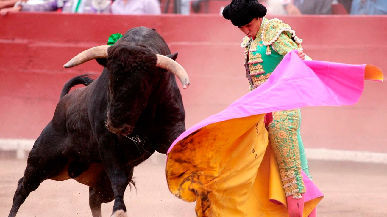 ¿Debe convocarse un referéndum sobre los toros en Madrid?