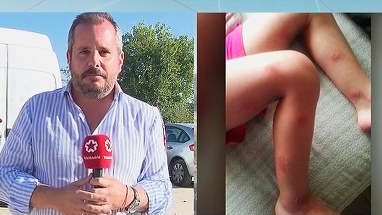 Mosca negra y malos olores en Villaverde