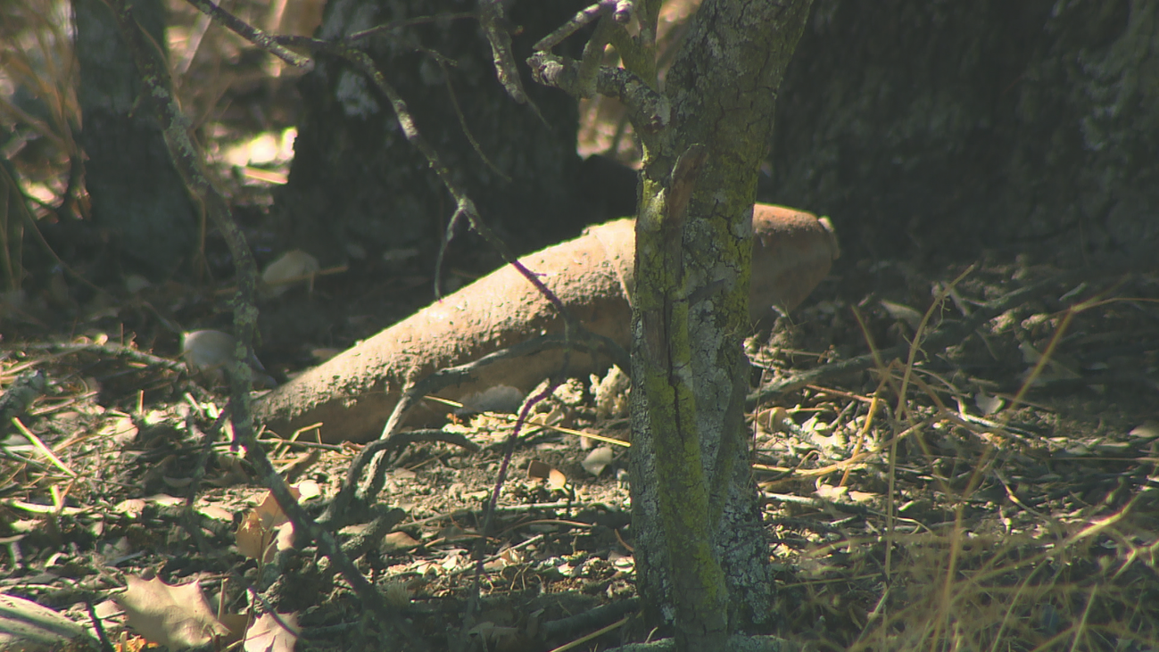 Los Tedax desactivan una bomba encontrada en la Casa de Campo