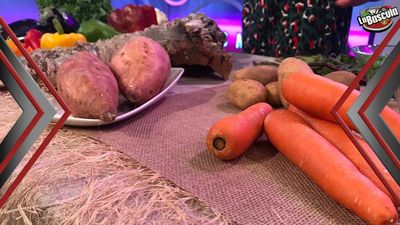 Las verduras y legumbres son muy diferentes, ¿conoces sus propiedades?