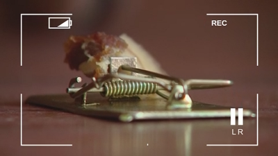 Hartos de las ratas en San Sebastián de los Reyes