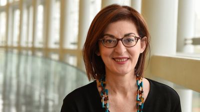 Pagazaurtundúa sobre los CDR: "Han tenido un papel violento"