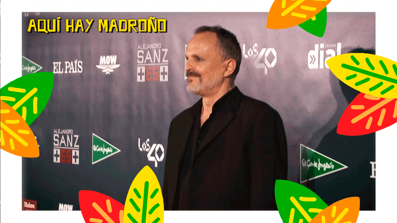 Miguel Bosé vuelve a España