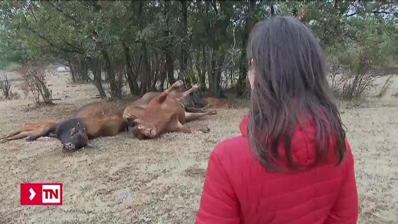 Telenoticias Fin de Semana 2 13.10.2018