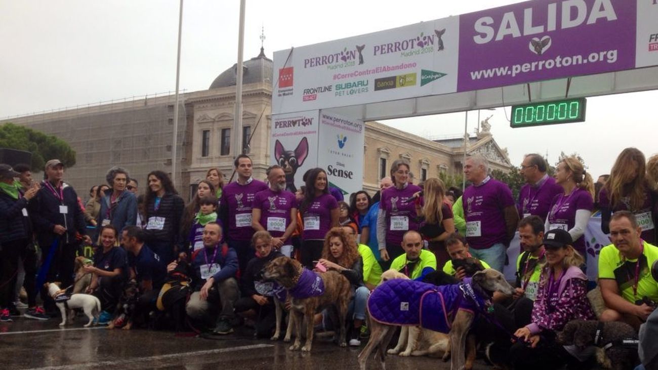 El Partido de la Onda: Entrevista a Alejandra Botto, embajadora de Perrotón 2018.  14.10.2018