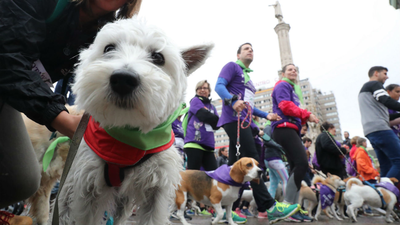 Más de 4.000 participantes corren junto a sus mascotas en la VII edición de Perrotón