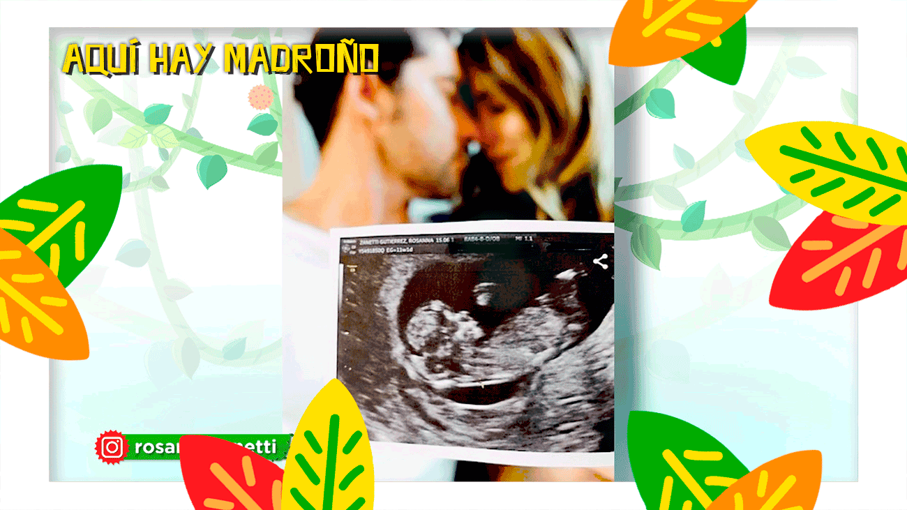 David Bisbal y Rosanna Zanetti anuncian que van a ser padres