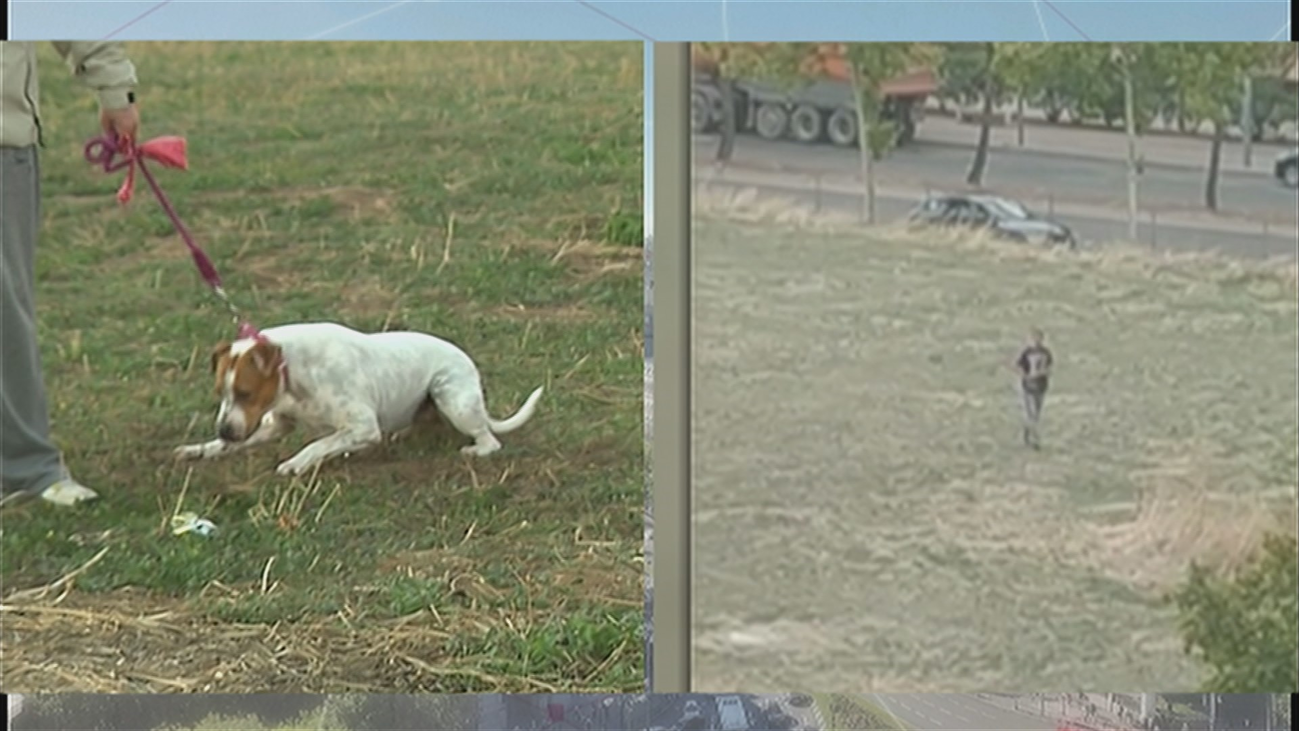 Presunto envenenamiento de perros en Alcalá de Henares