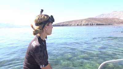 Bahía de los Ángeles: el acuario del mundo