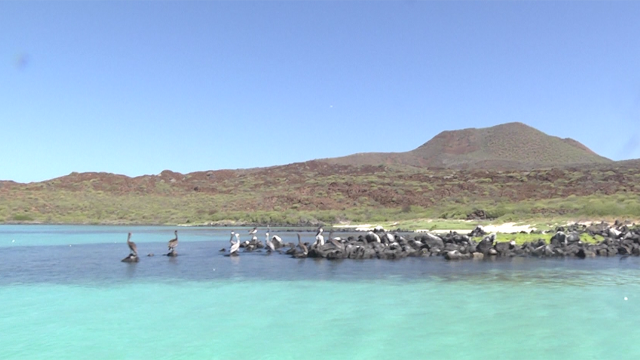 Playas vírgenes y aguas turquesa en el Parque Nacional de Loreto