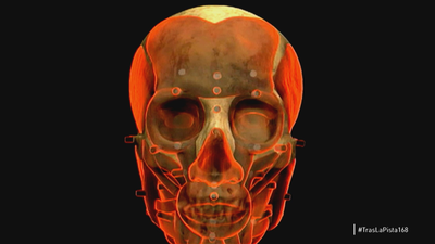 La reconstrucción de una cara a través del cráneo