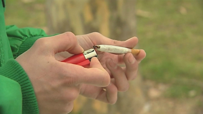 Podemos propone legalizar el cannabis para aumentar los ingresos