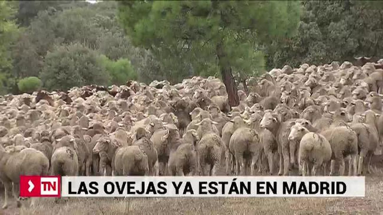 Telenoticias Fin de Semana 1 20.10.2018