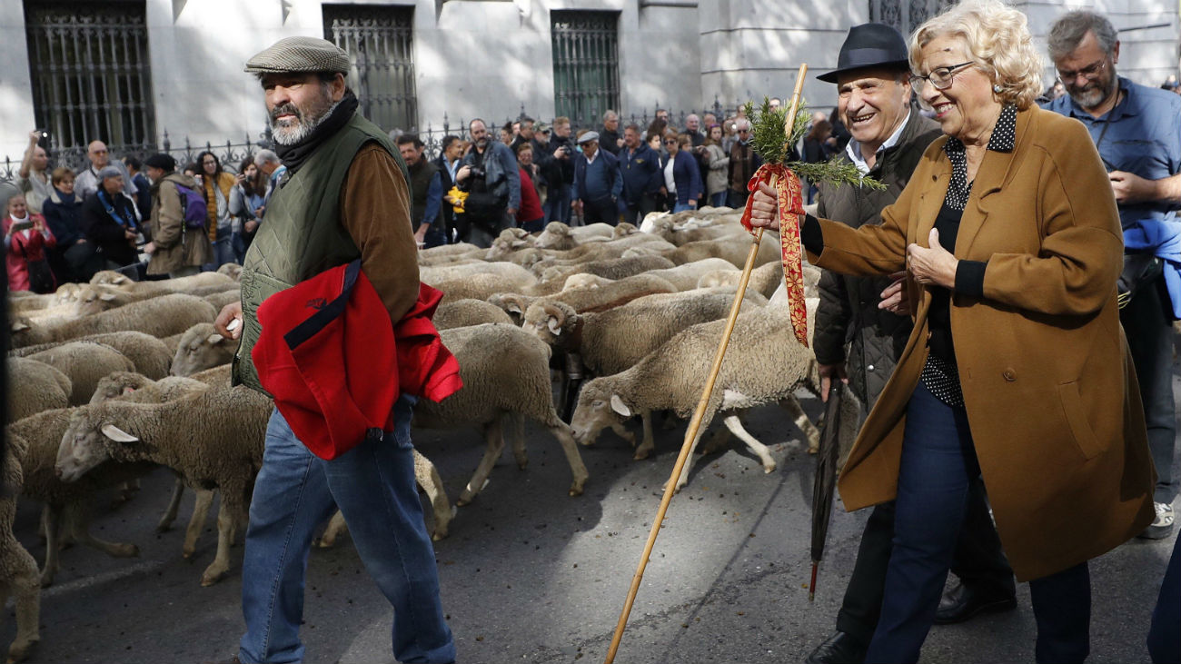 Un millar y medio de ovejas llegan a Madrid en la Fiesta de la Trashumancia