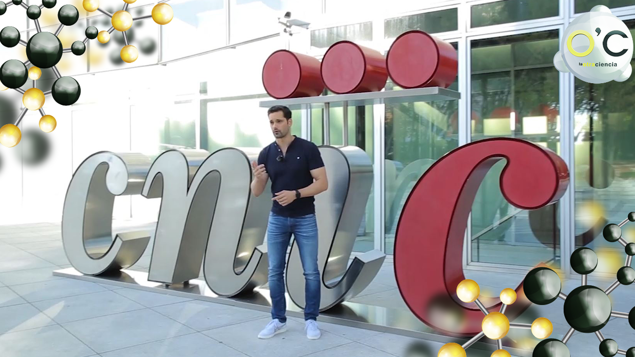 Diferencias entre sobrepeso y obesidad