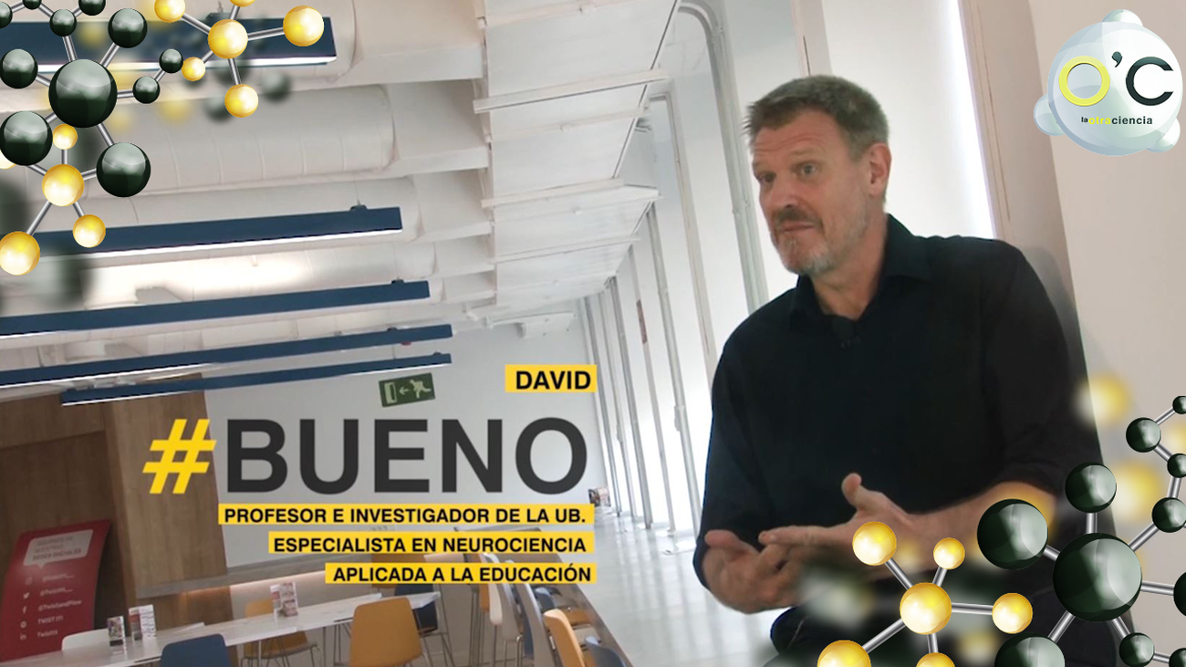 ¿Qué es el metabolismo?