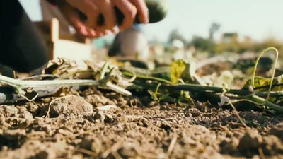 Ruta 179 visita Leganés, tierra pepinera con mucha historia