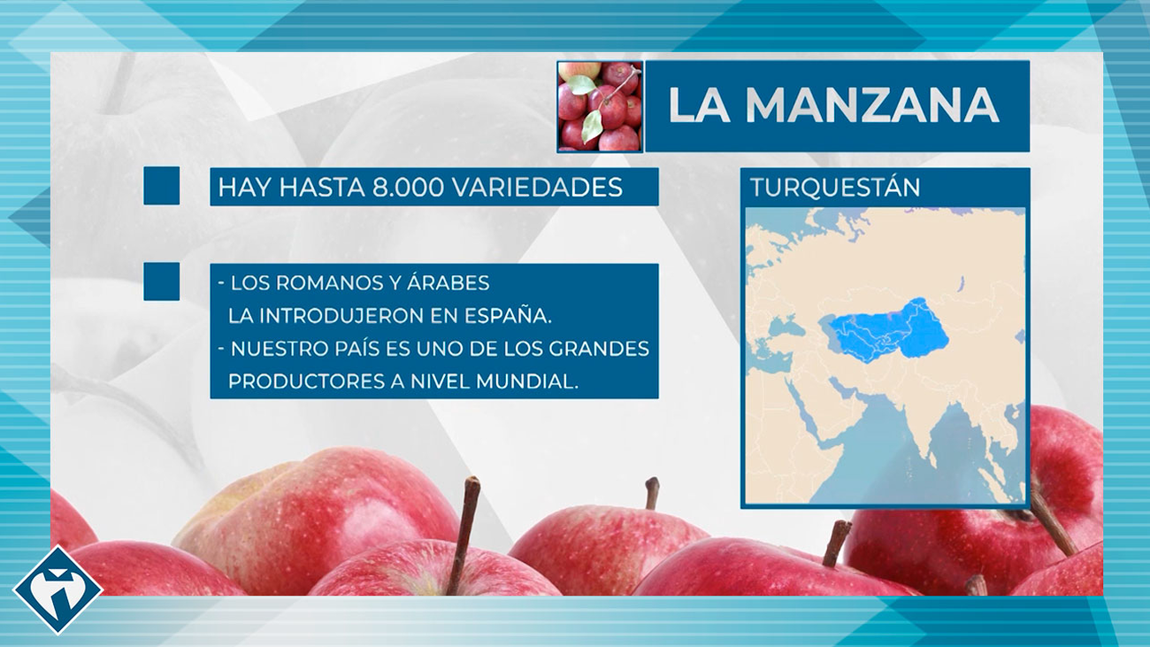 La manzana, la gran aliada de todas nuestras dietas