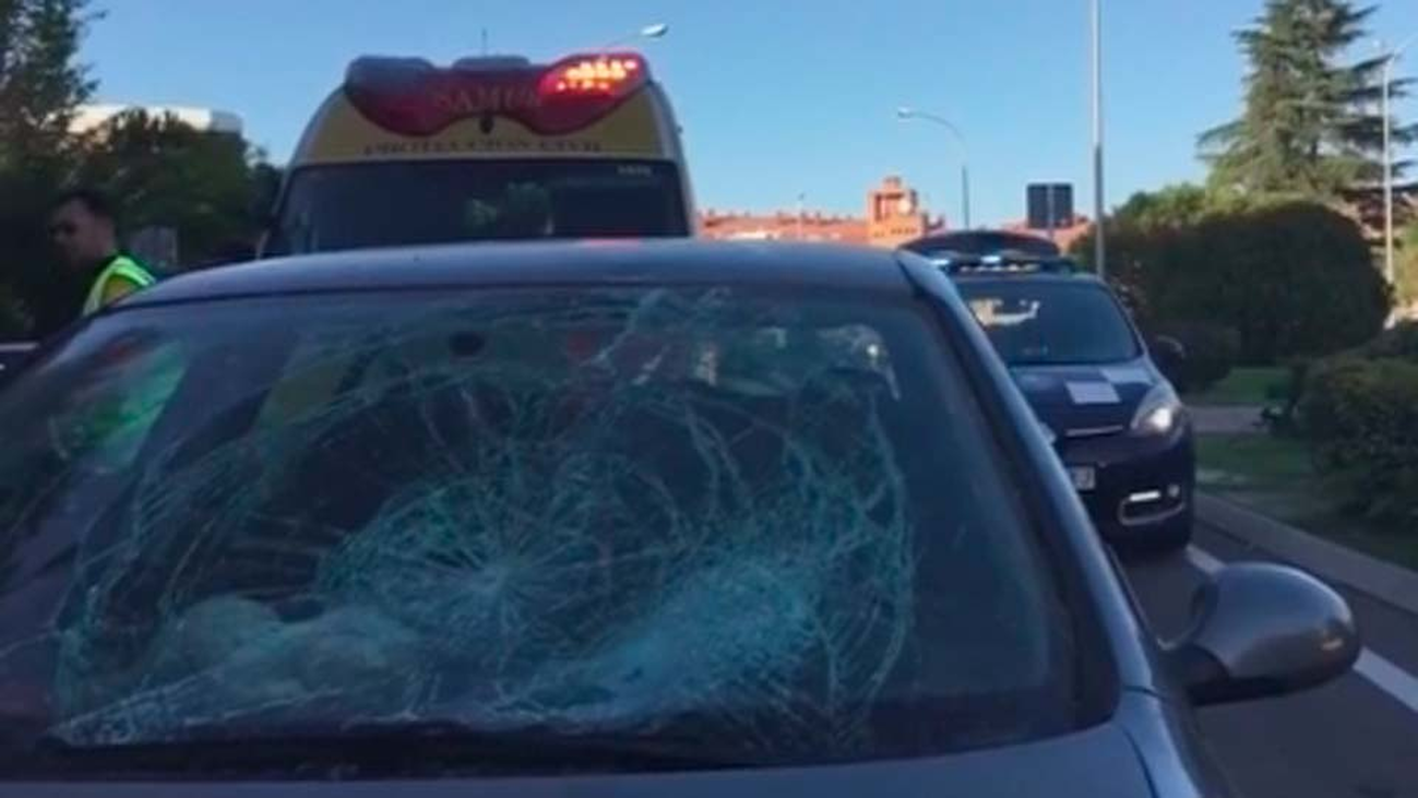 Más de 1520 atropellos se registraron en Madrid en 2017